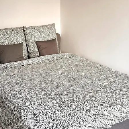Apartment Centre Gare Renove 3 Nancy